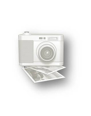  2006 American Platinum Eagle 4 Coin Set MS-69 NGC  